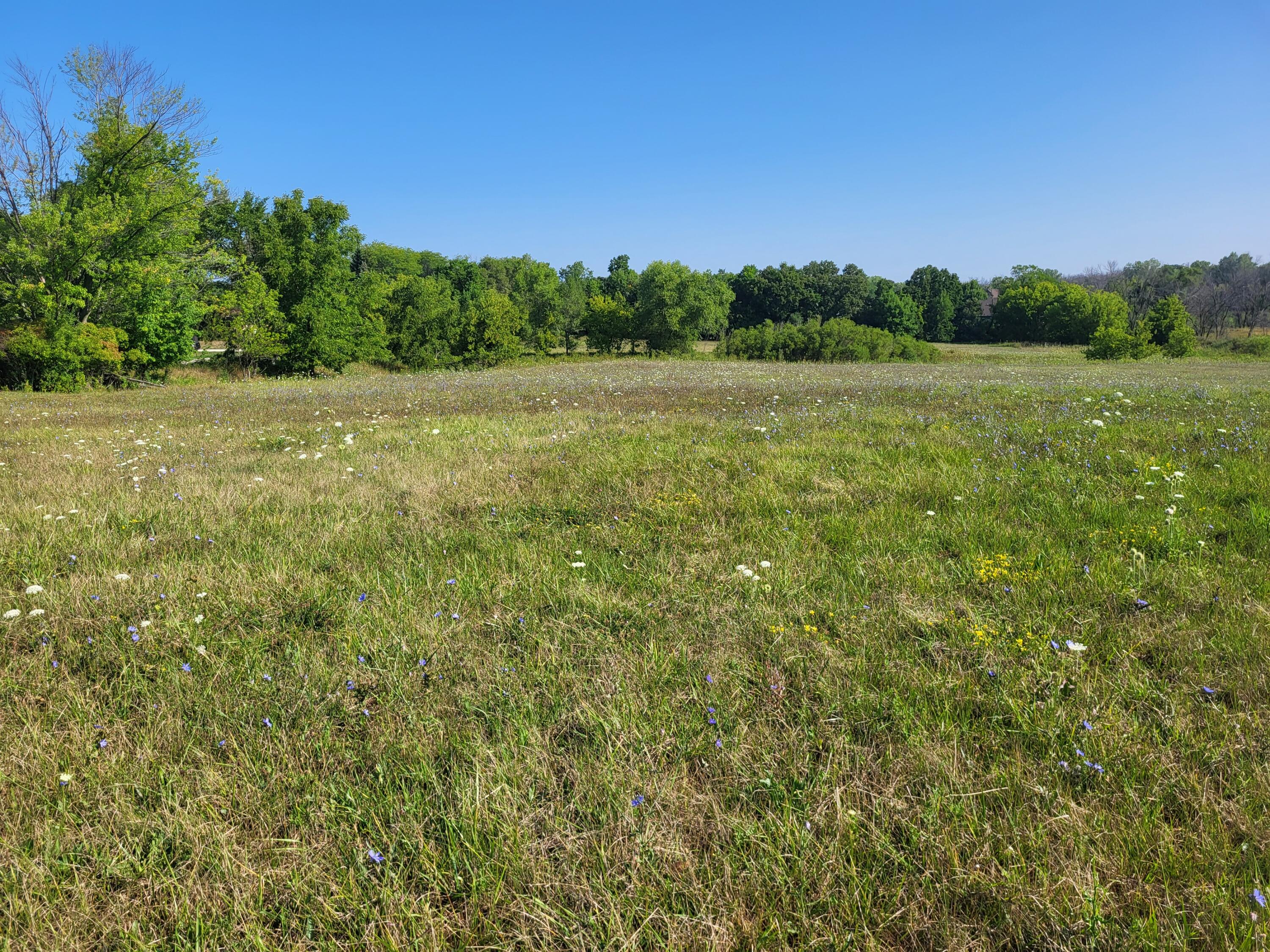 Lt0 Pilgrim Road Brookfield, WI 53005 - Photo 22 of 25 Landscape