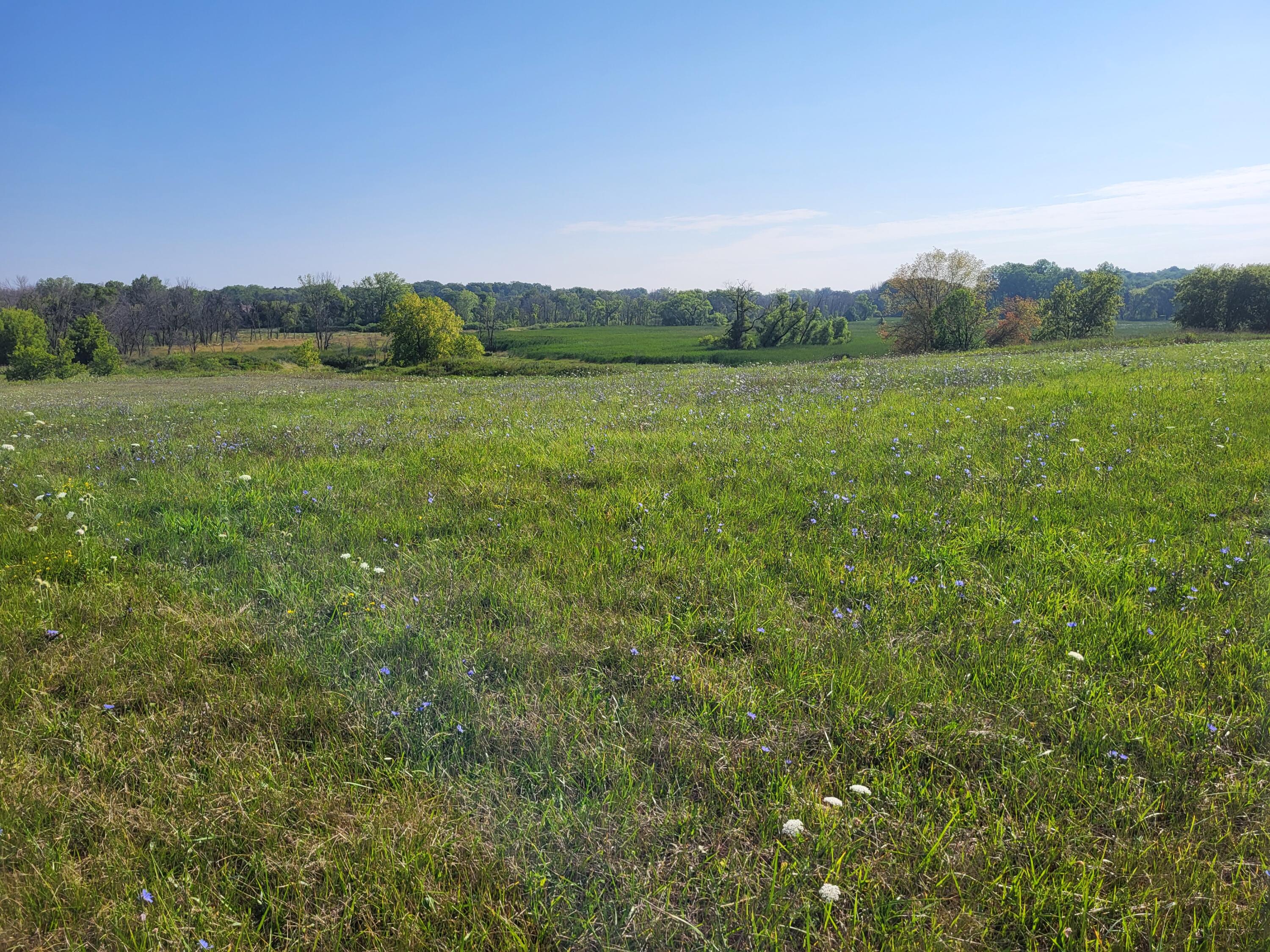 Lt0 Pilgrim Road Brookfield, WI 53005 - Photo 24 of 25 Landscape