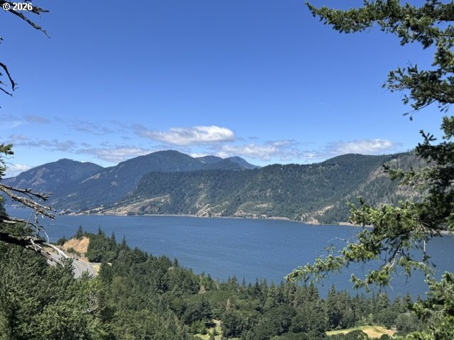 4390 West Ridge Drive Hood River, OR 97031 - Photo 2 of 11