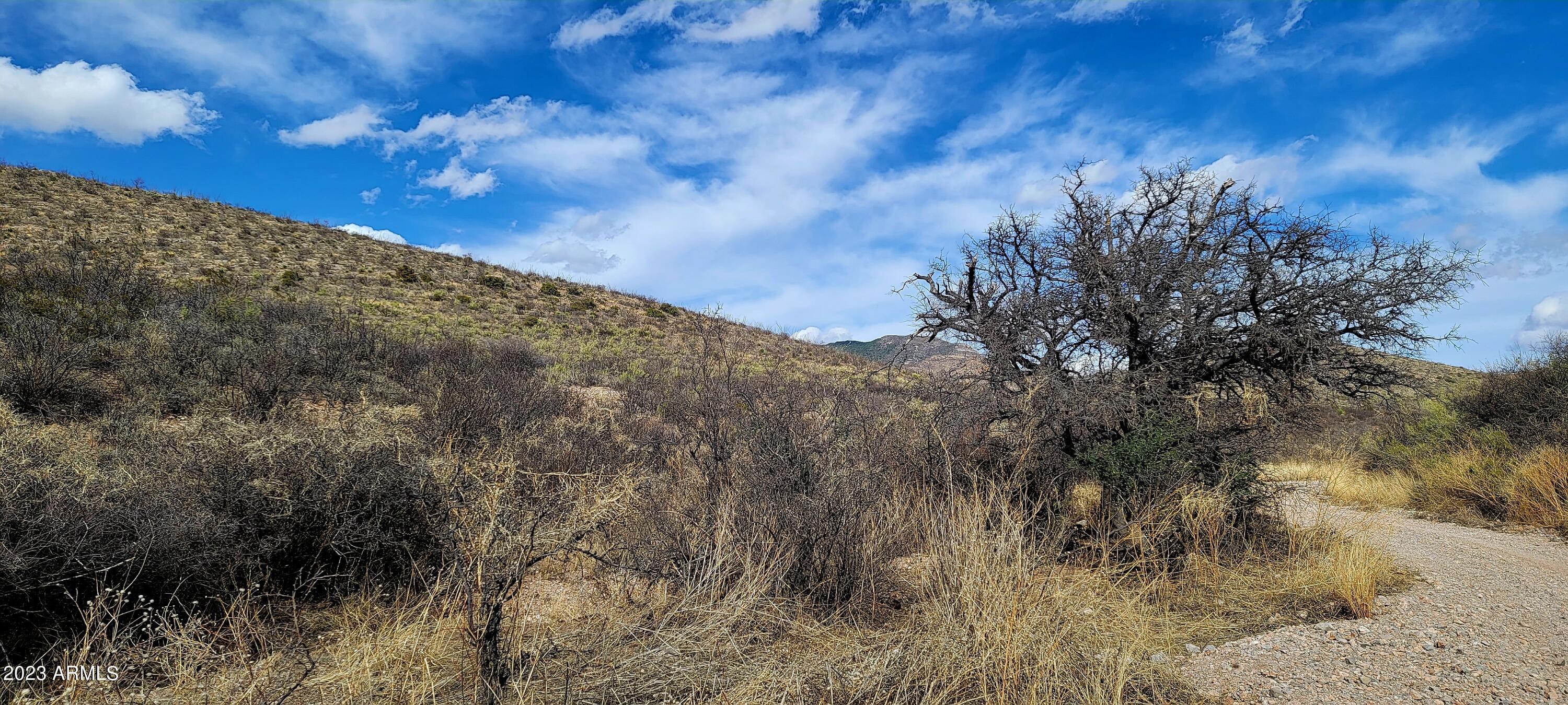 Lot 9 West Red Mountain Road, Unit 9 Bisbee, AZ 85603 - Photo 2 of 6