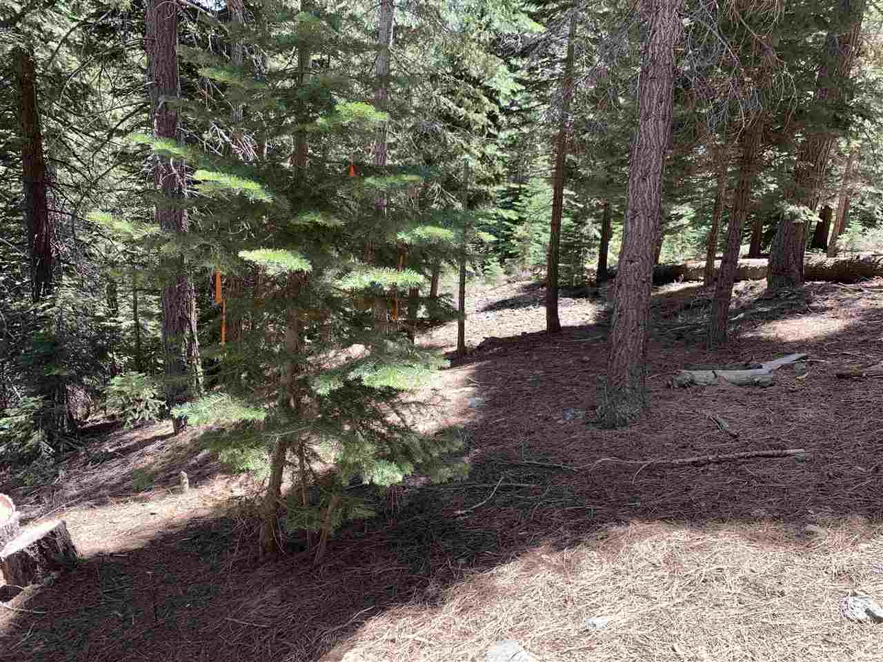 10792 Pine Cone Road Truckee, CA 96161 - Photo 8 of 9 Gallery Image 8