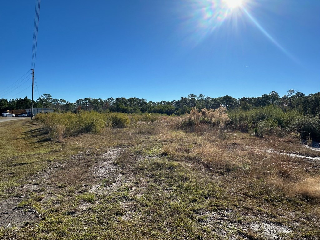 2 Houston Road Eastpoint, FL 32328 - Photo 2 of 7