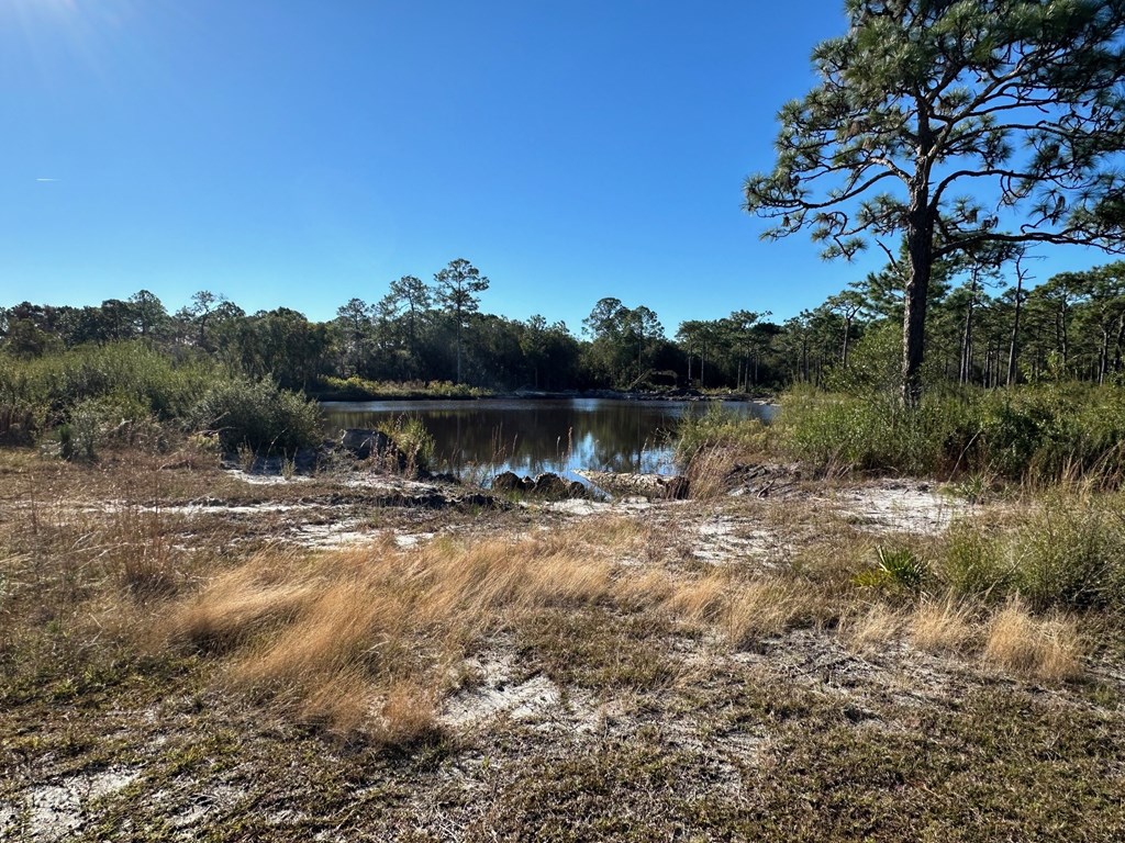 2 Houston Road Eastpoint, FL 32328 - Photo 4 of 7