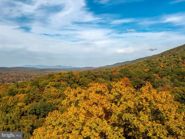 a view of a dry yard