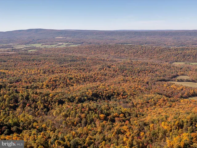 an aerial view of forest