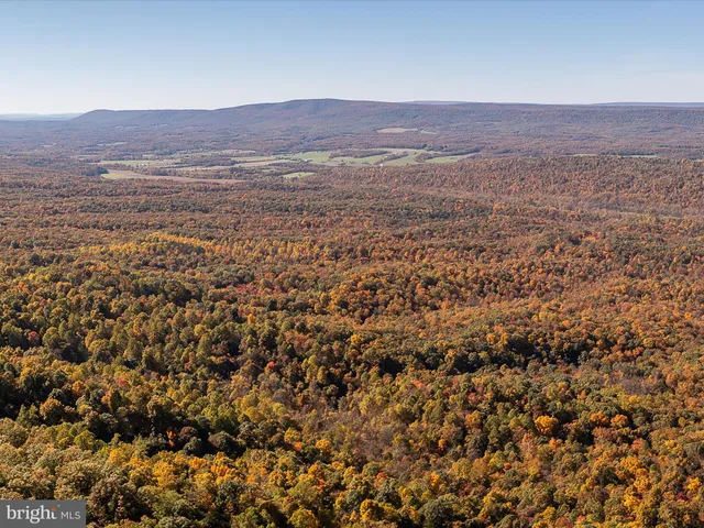 an aerial view of houses with a city