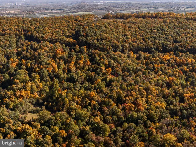 an aerial view of houses covered in trees