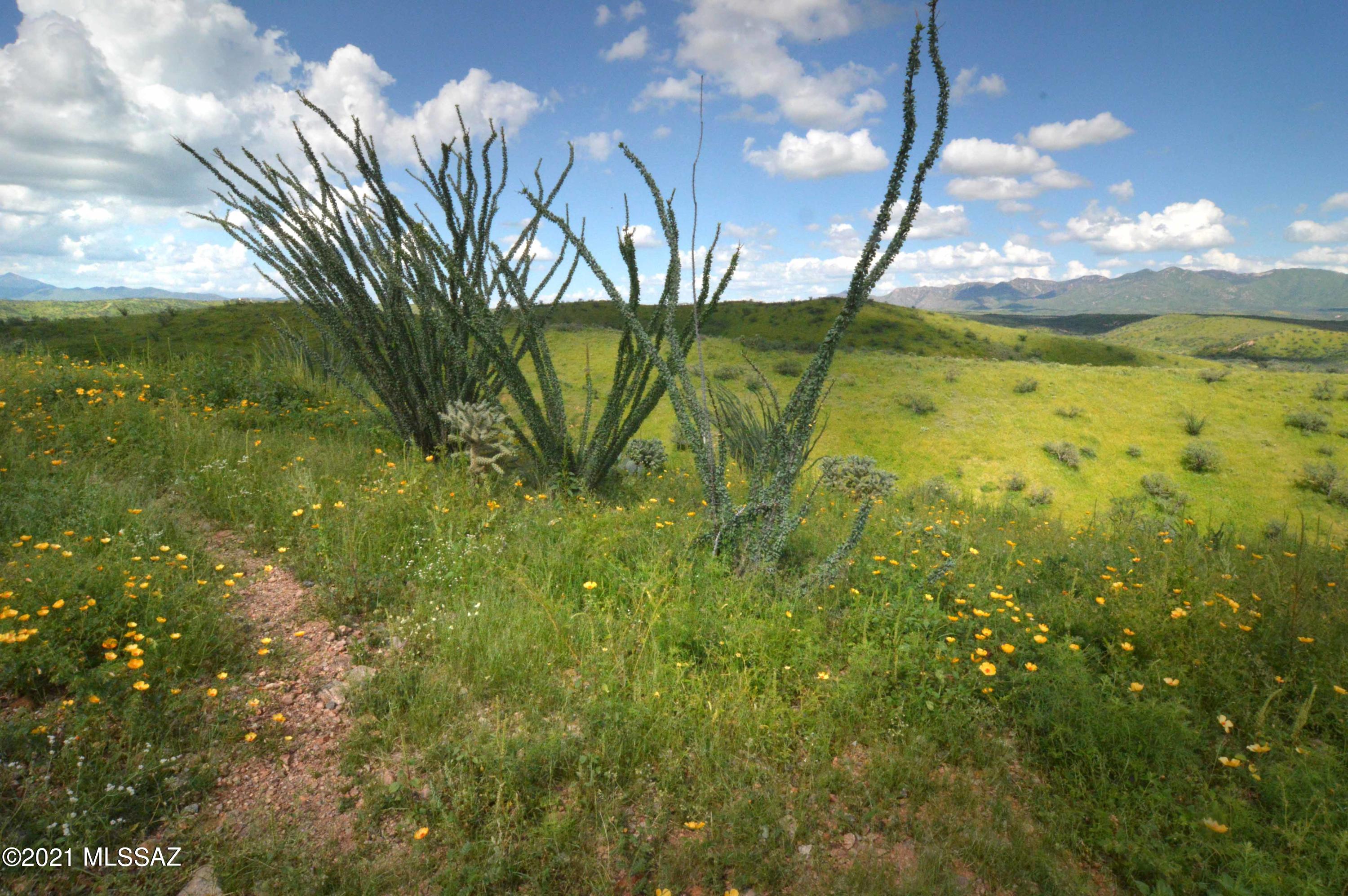 Tbd Sonoita Creek Ranch Road, Unit 86 Nogales, AZ 85621 - Photo 25 of 32