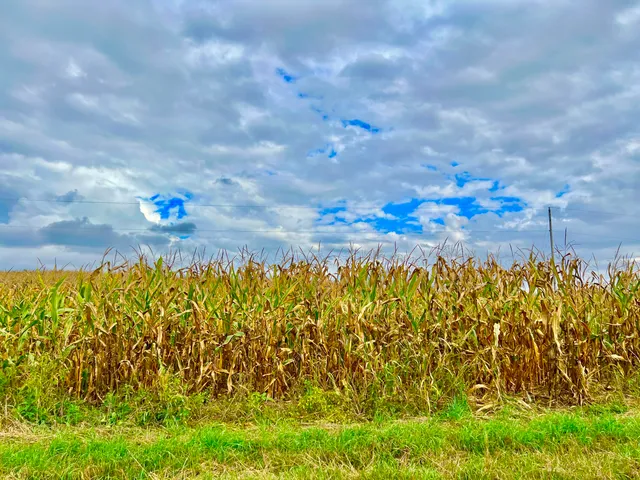 $99,900 | 0 Crampton Road, Hillsdale, MI 49242