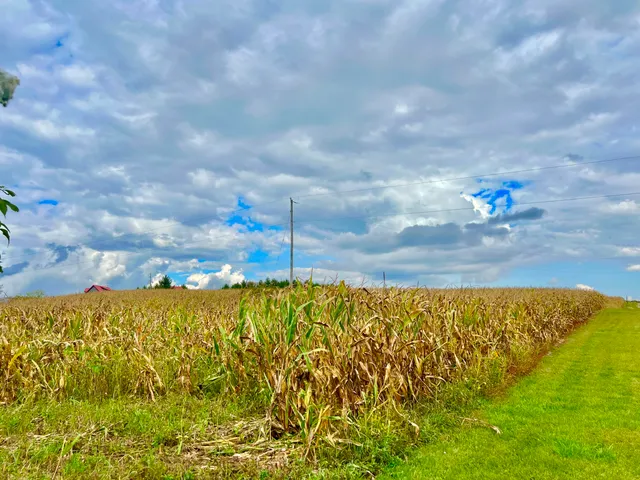 $99,900 | 0 Crampton Road, Hillsdale, MI 49242