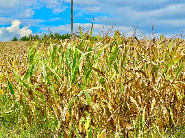 $99,900 | 0 Crampton Road, Hillsdale, MI 49242