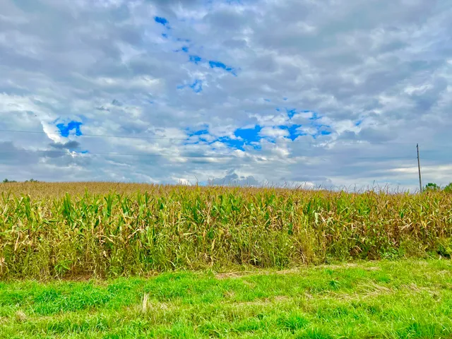 $99,900 | 0 Crampton Road, Hillsdale, MI 49242