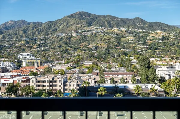 a view of a garden with a bench in the background