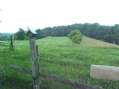 355 Rector Lane Winchester, KY 40391 - Photo 5 of 5 Photo 5