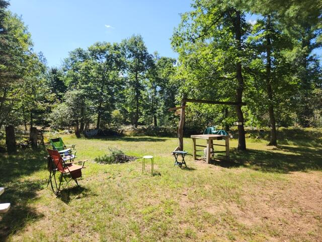 0 West Welch Road Baldwin, MI 49304 - Photo 19 of 26 20240831_123326