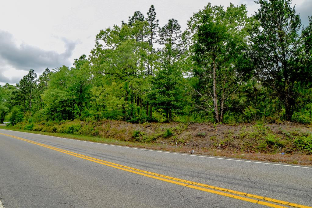 2516 Silver Bluff Road Aiken, SC 29803 - Photo 4 of 4