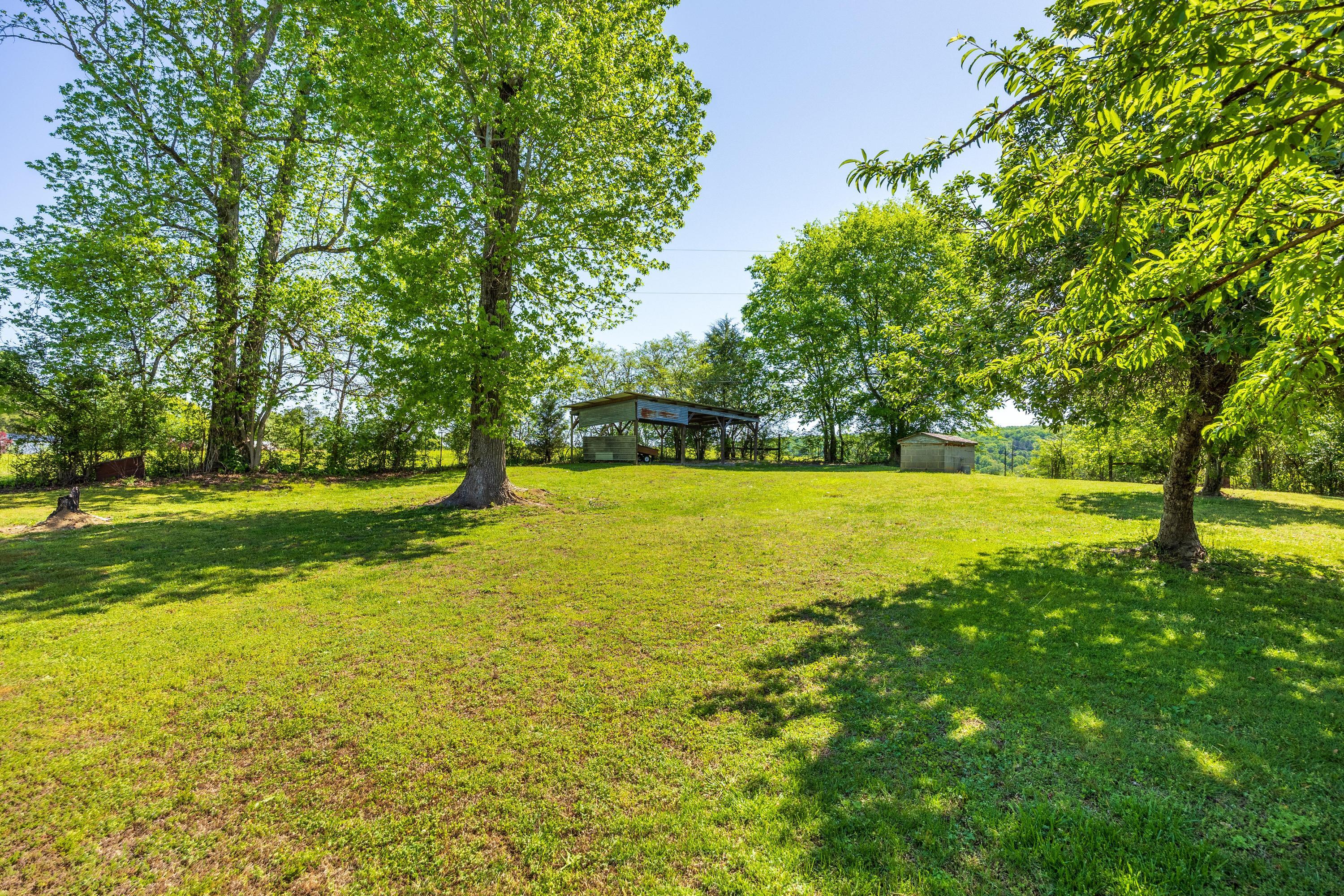 556 No Pone Valley Road Northwest Georgetown, TN 37336 - Photo 24 of 30 Backyard