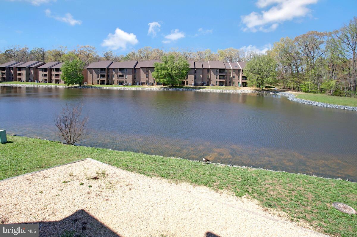 44788 Locust Ridge Court, Unit 6A California, MD 20619 - Photo 30 of 34