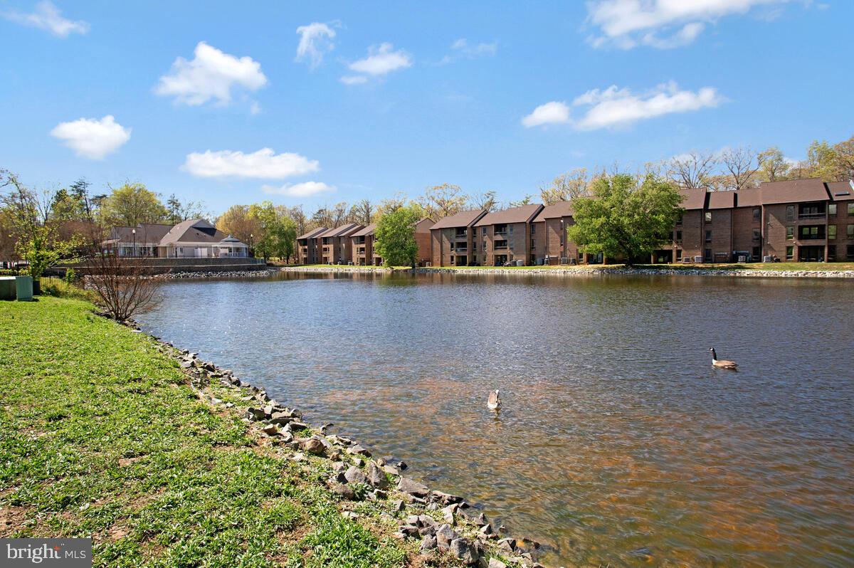 44788 Locust Ridge Court, Unit 6A California, MD 20619 - Photo 4 of 34