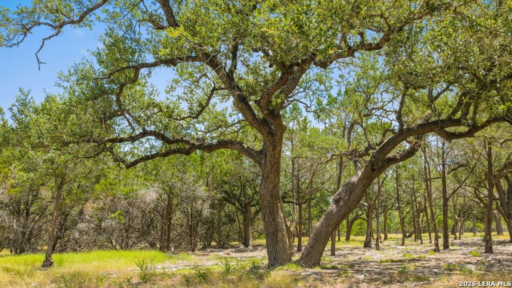 5 Cypress Cove Road Spring Branch, TX 78070 - Photo 15 of 17 Gallery Image 15