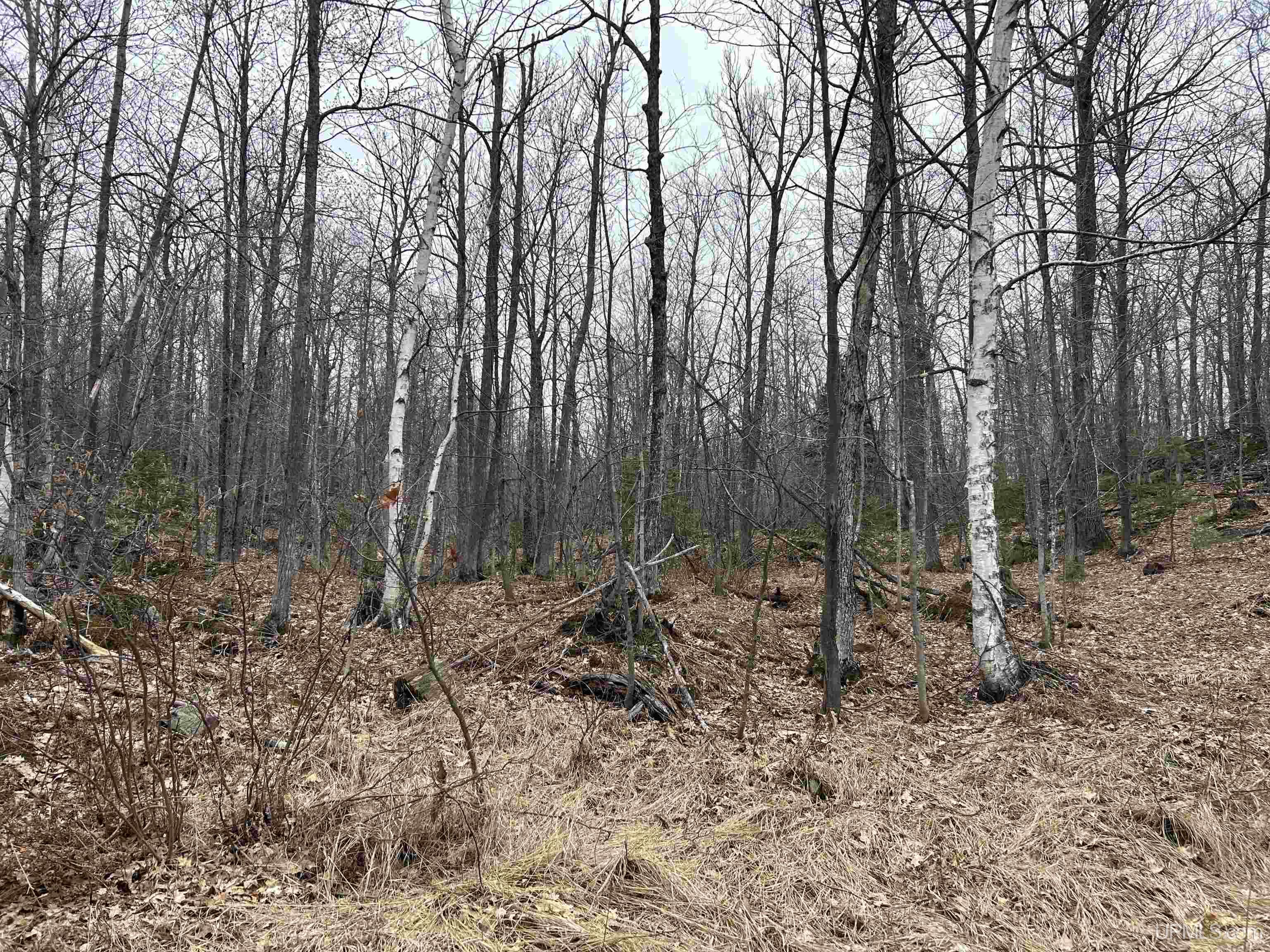 Near Krooks Road Negaunee, MI 49866 - Photo 4 of 15