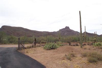 7220 North Artesiano Road Tucson, AZ 85743 - Photo 8 of 8 a view of a dry field with mountains in the background