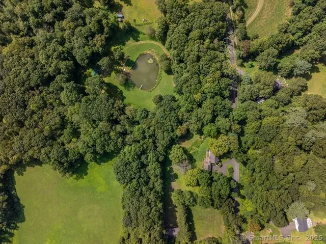 a view of a plant in a garden