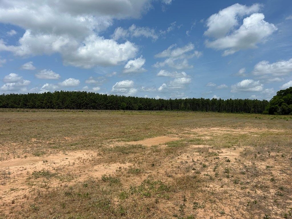 10907-44 -ac) Cty Road Hartford, AL 36344 - Photo 31 of 52