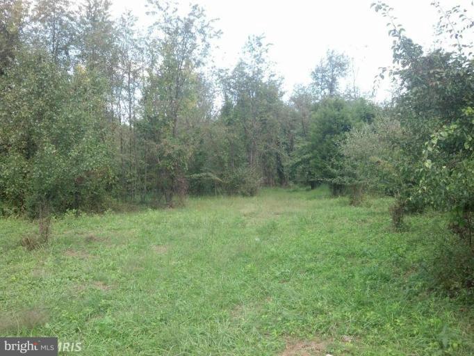 Bushy Park Road Woodbine, MD 21797 - Photo 15 of 16 View