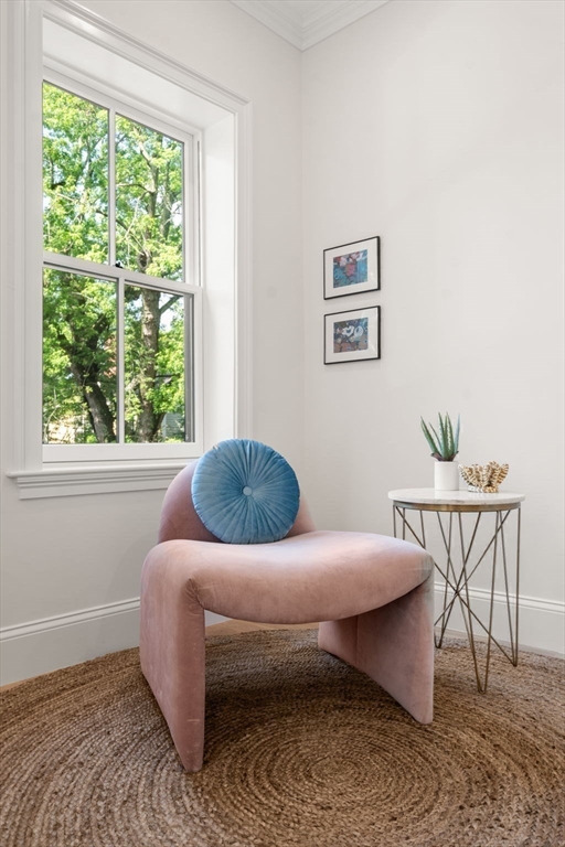 41 Waverly Street Brookline, MA 02445 - Photo 16 of 38 a living room with furniture and a window