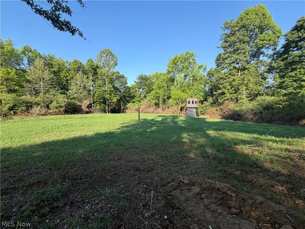 Crum Ridge Road Caldwell, OH 43724 - Photo 29 of 50