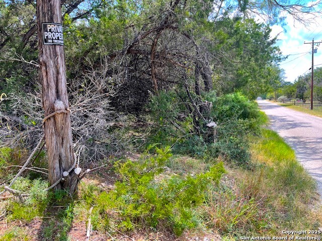 455 Spur Road Lakehills, TX 78063 - Photo 11 of 17 a plant that is in a garden