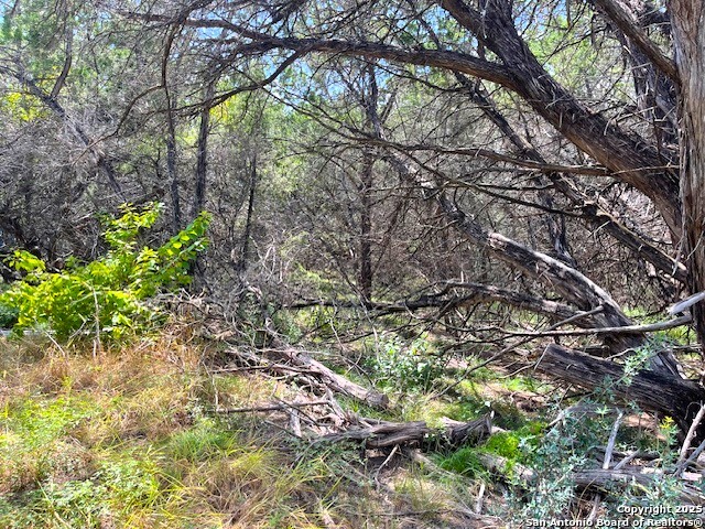 455 Spur Road Lakehills, TX 78063 - Photo 12 of 17 a backyard of a house with lots of green space