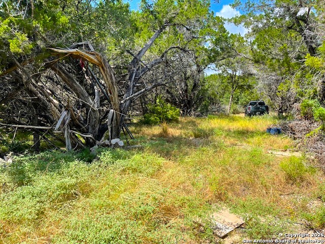 455 Spur Road Lakehills, TX 78063 - Photo 14 of 17 a backyard of a house with lots of green space