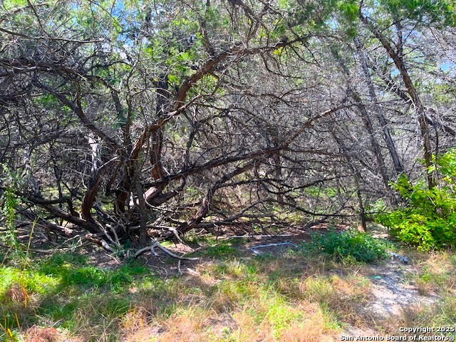 455 Spur Road Lakehills, TX 78063 - Photo 15 of 17 a view of a tree