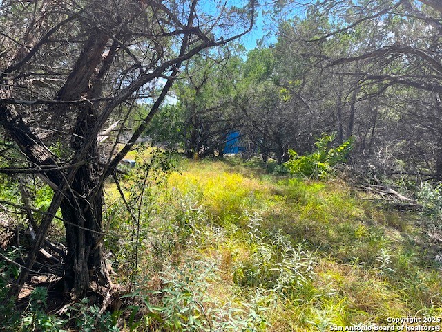 455 Spur Road Lakehills, TX 78063 - Photo 17 of 17 a backyard of a house with lots of green space