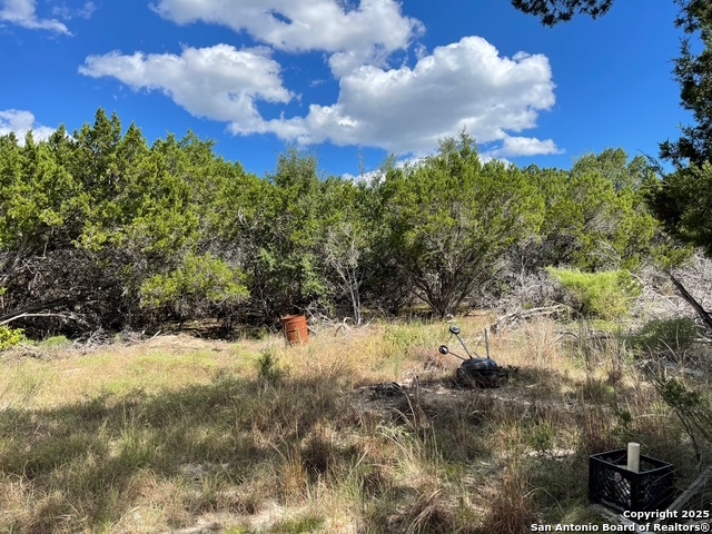 455 Spur Road Lakehills, TX 78063 - Photo 3 of 17