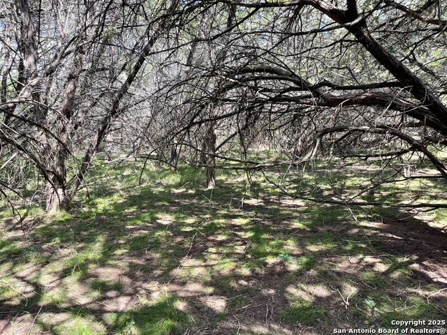 455 Spur Road Lakehills, TX 78063 - Photo 6 of 17