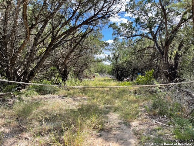 455 Spur Road Lakehills, TX 78063 - Photo 7 of 17 a view of a field with trees in the background