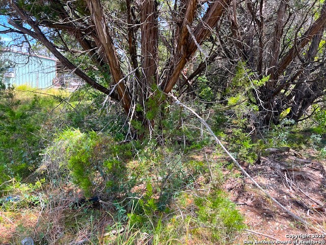 455 Spur Road Lakehills, TX 78063 - Photo 8 of 17 a backyard of a house with lots of green space