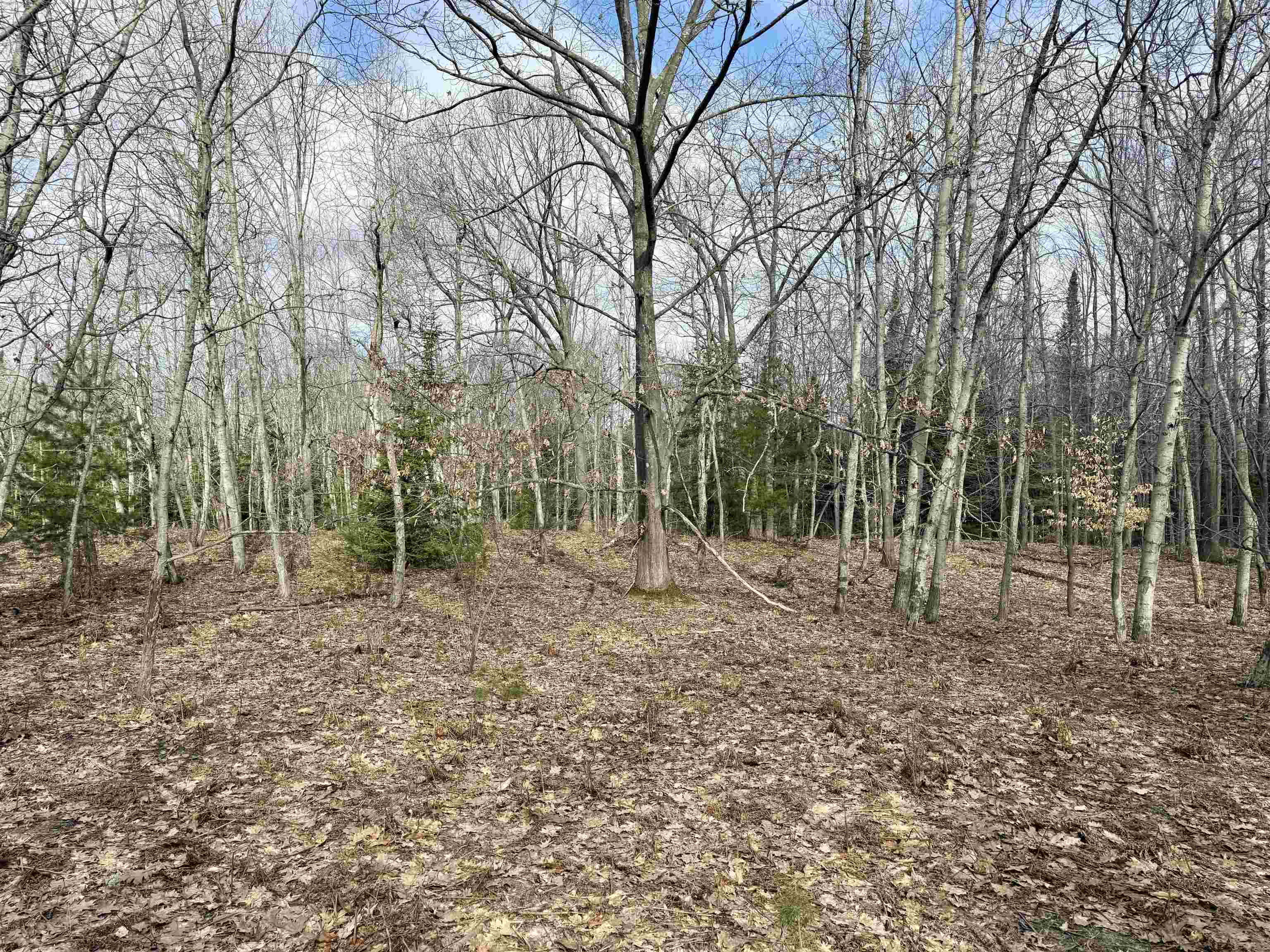 0 East Sandy Lane Cedar, MI 49621 - Photo 11 of 20