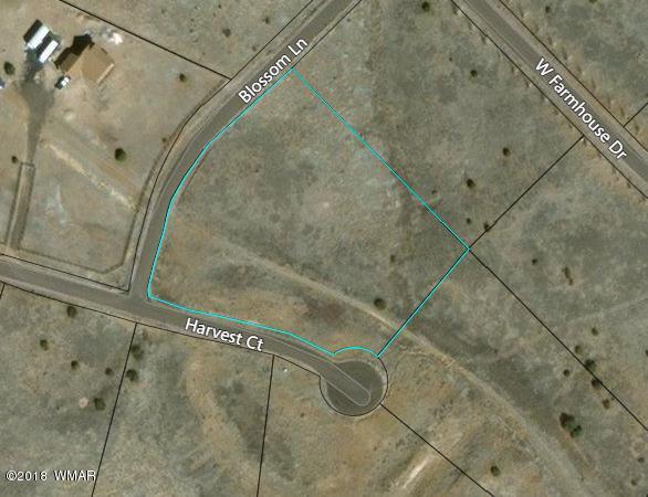 Lot 105 Taylor Farms, Unit 3 Taylor, AZ 85939 - Photo 2 of 2
