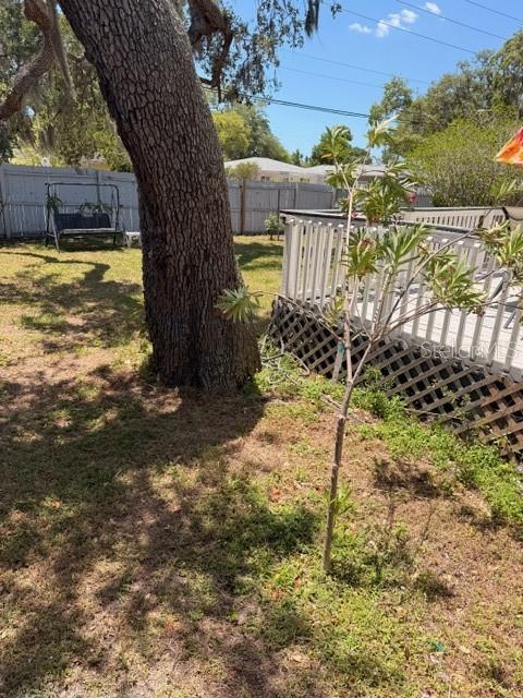 519 Norfolk Street Dunedin, FL 34698 - Photo 27 of 29