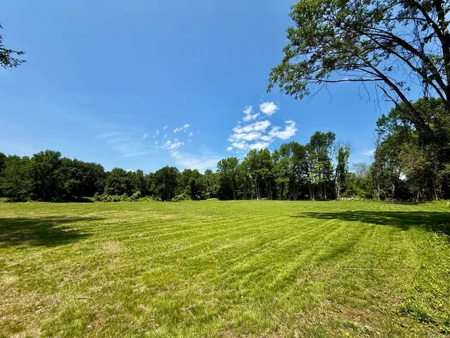 a view of a big yard with a large trees