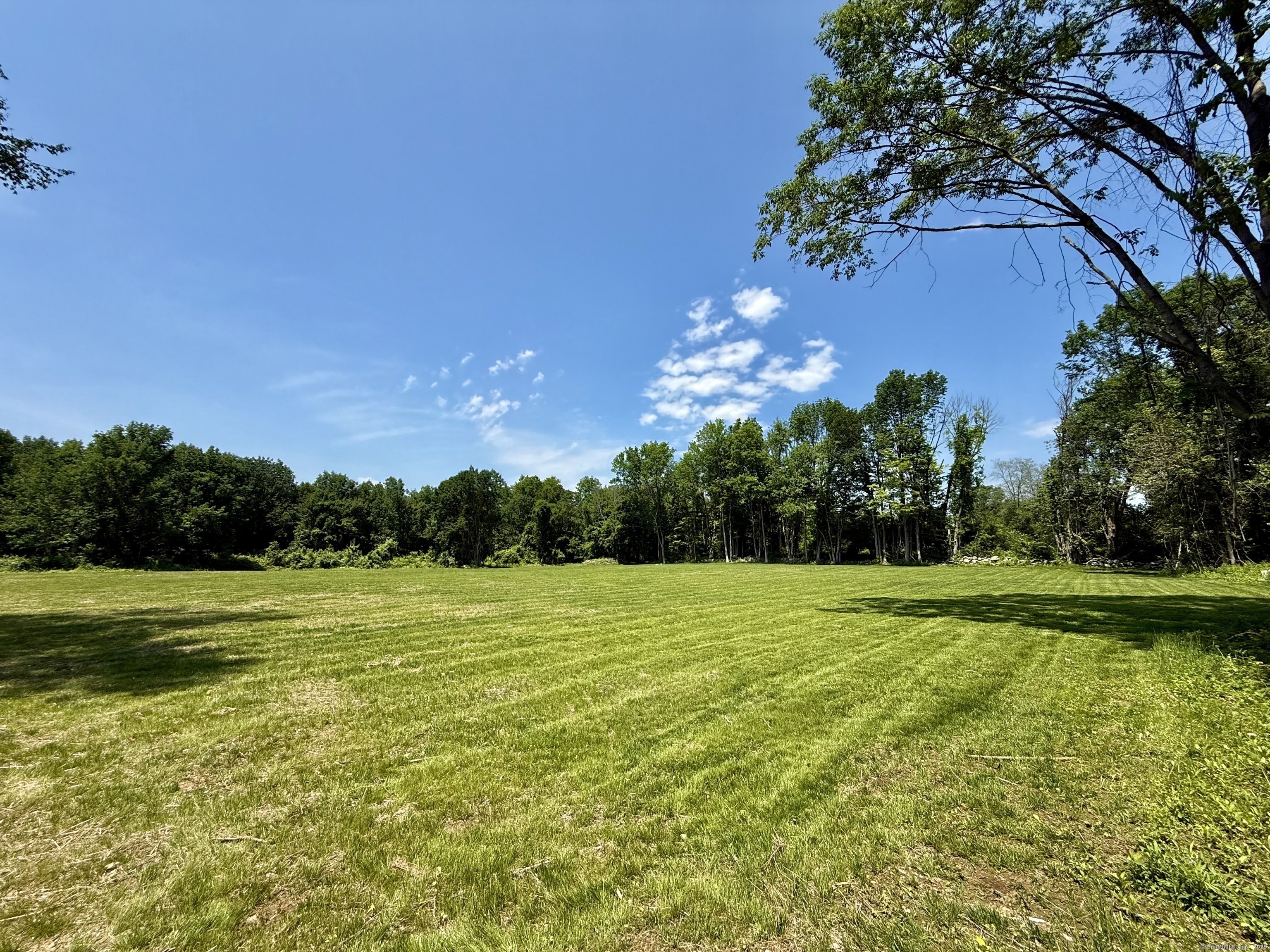 249 Wall Street Hebron, CT 06248 - Photo 6 of 28 a view of a big yard with a large trees