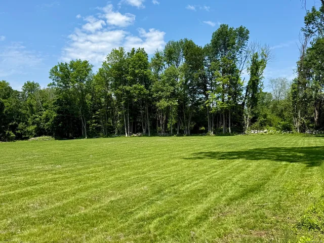 a view of a park with trees in the background