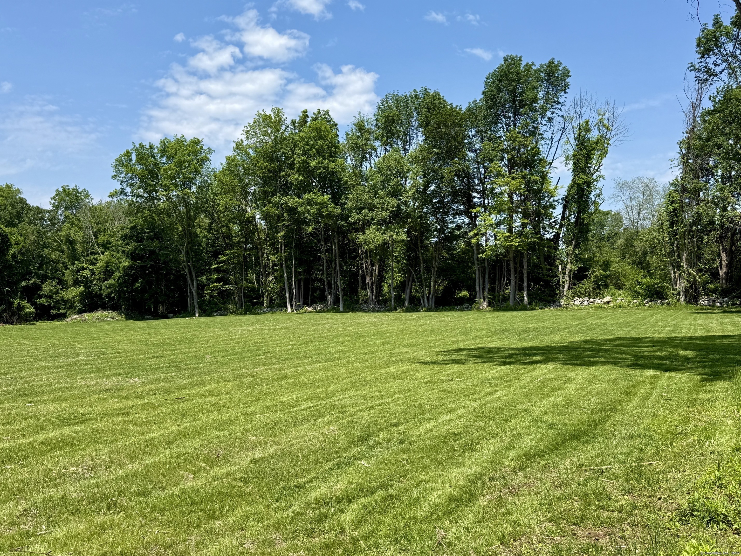249 Wall Street Hebron, CT 06248 - Photo 7 of 28 a view of a park with trees in the background