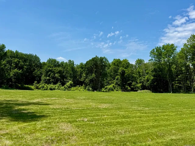 a view of a grassy field with trees in the background