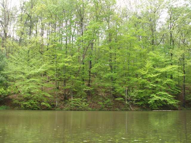 2719 Shepherd Road Nashville, IN 47448 - Photo 7 of 10 Gallery Image 7