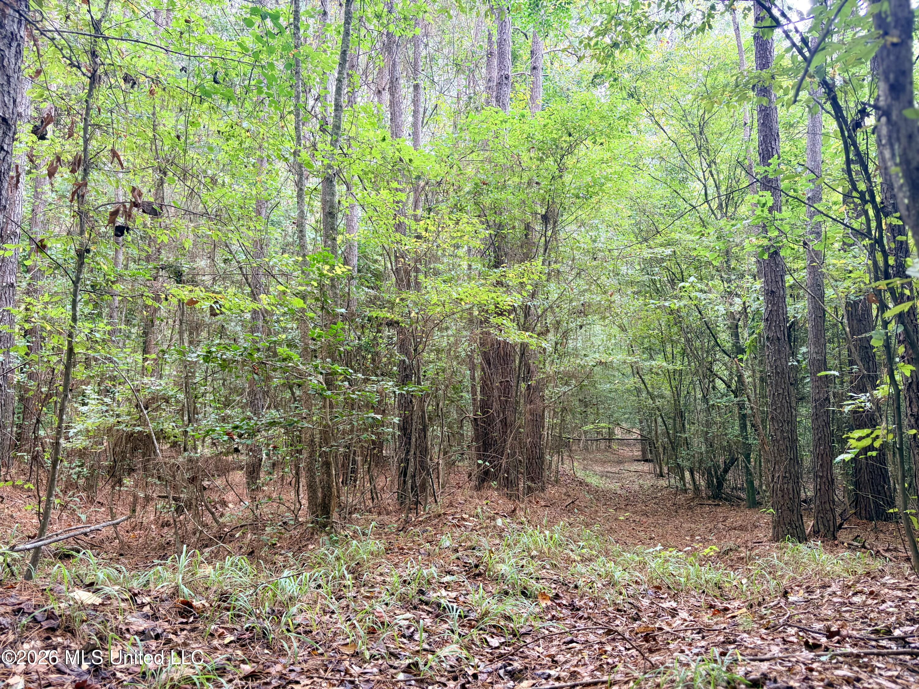 East Bethel Road Sturgis, MS 39769 - Photo 20 of 23 IMG_3945